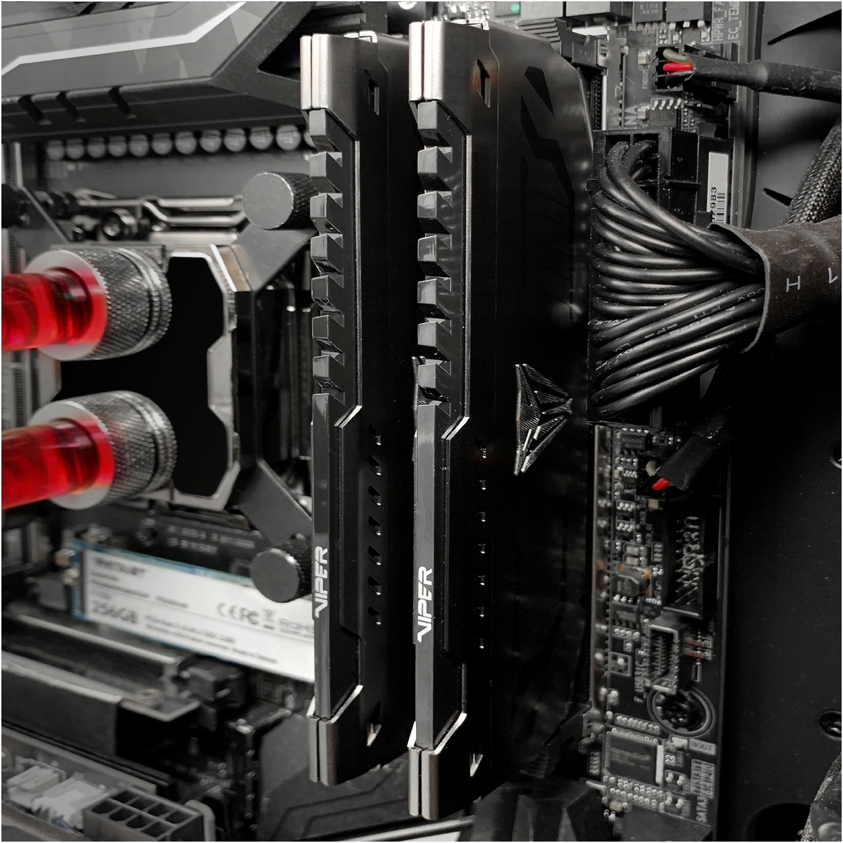 PVS432G360C8K