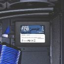 P210S1TB25 image 2