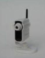 CM-240 Casey Mongoose Wireless 1/3" CMOS Color Camera FOR GK-430240