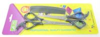 AD-1578 Casey Mens Hairdresser Scissors kit