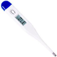 CS12917 Casey Electronic Thermometer With Contact Measurement Technology