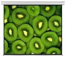 CEW300 Esquire Electric Projector Screen - 300 x 169cm