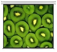 CEW300 Esquire Electric Projector Screen - 300 x 169cm