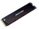 HS-SSD-FUTURE-512G