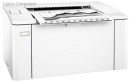 LP-HM102W