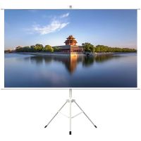 100TS169 HTPNEO 100" Wide Portable Projector Screen with Tripod Stand