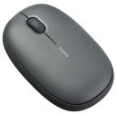 101C-11X00-800 Rapoo M650 Multi-mode Wireless Optical Mouse