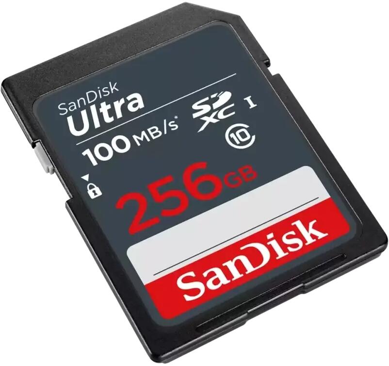 SDSDUNR-256G-GN