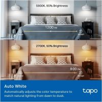 Tapo-L535B Gallery image 3 [Size: 1004 (W) x 1004 (H)]