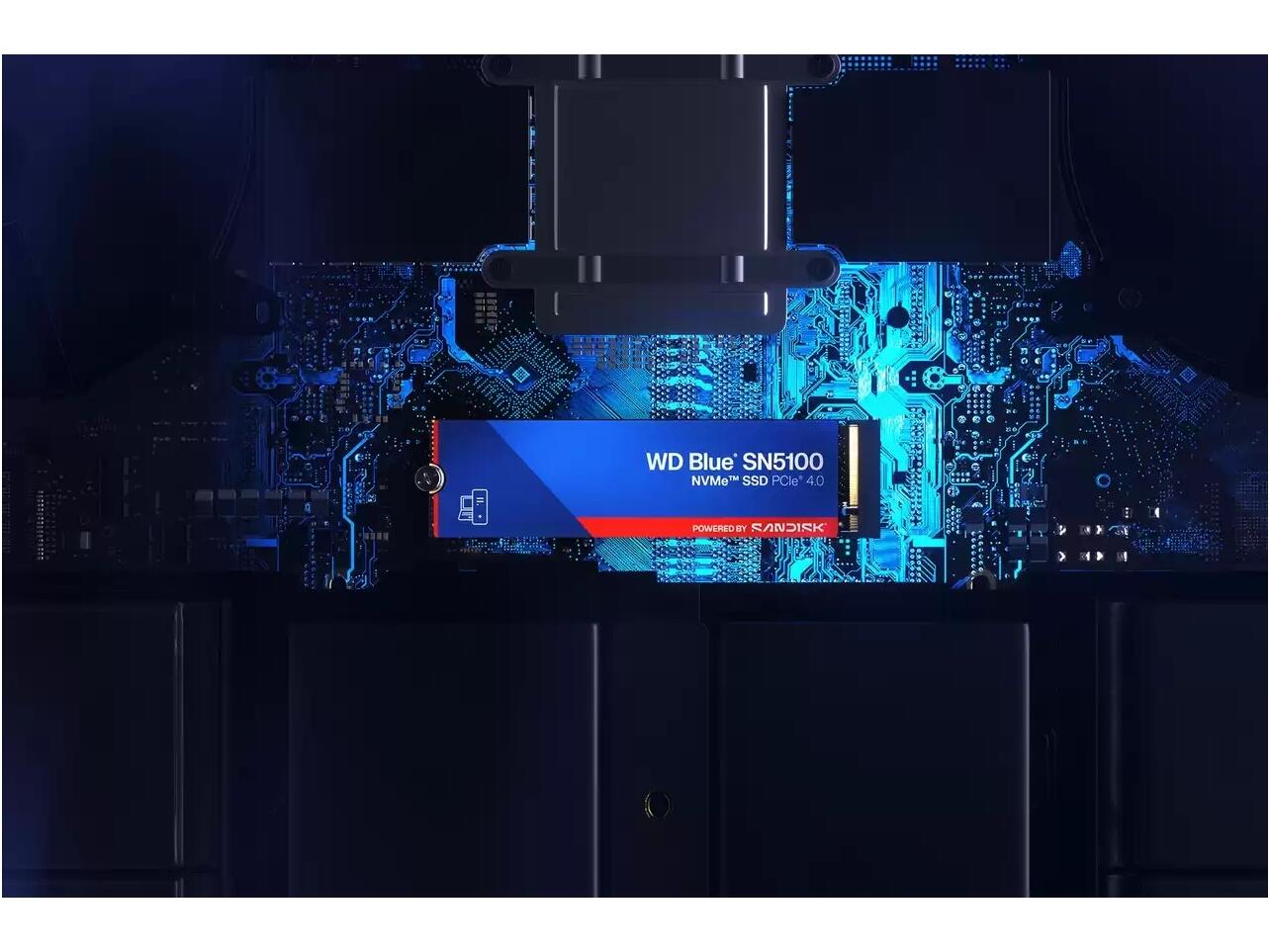 WDS100T5BOE