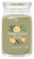 5038581129365 Yankee Candle Signature Collection Sage & Citrus Large Jar